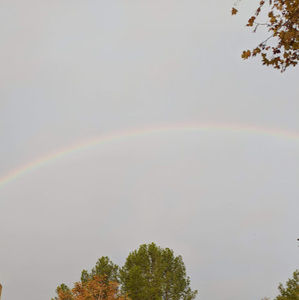 Meet your Posher, Hailey